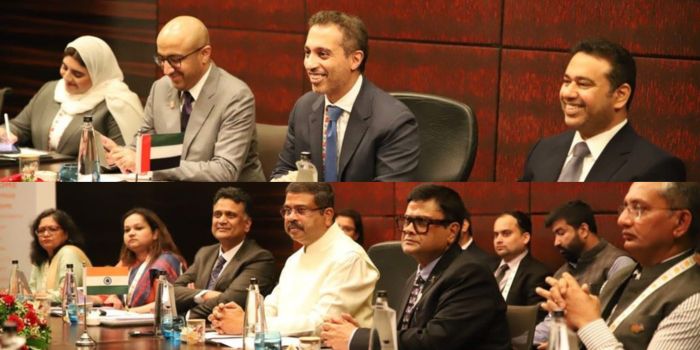 India, Mauritius skill development